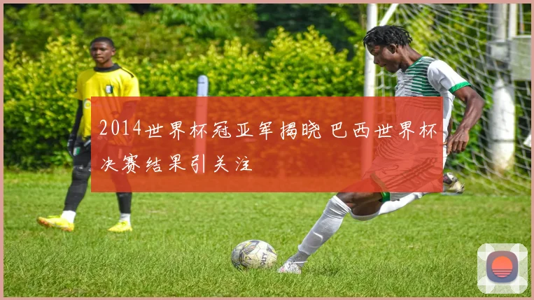 2014世界杯冠亚军揭晓 巴西世界杯决赛结果引关注