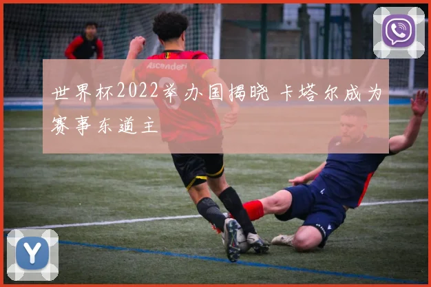 世界杯2022举办国揭晓 卡塔尔成为赛事东道主