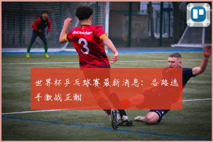 世界杯乒乓球赛最新消息：各路选手激战正酣