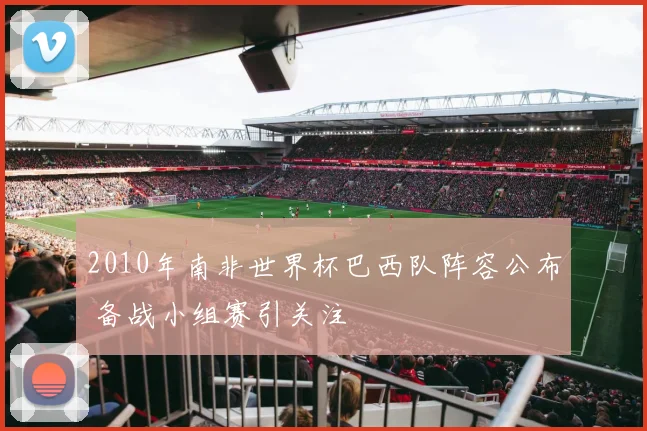 2010年南非世界杯巴西队阵容公布 备战小组赛引关注
