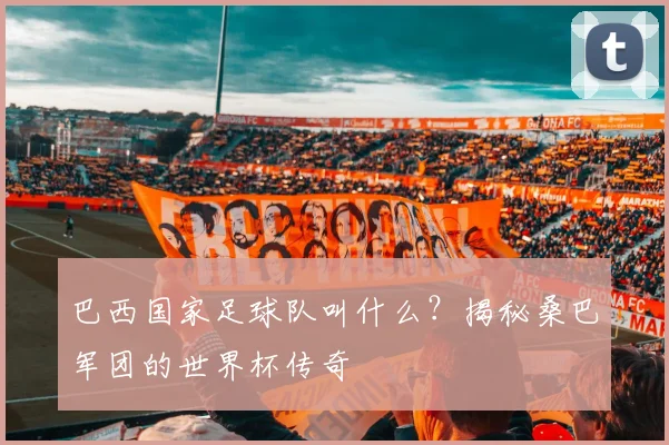 巴西国家足球队叫什么？揭秘桑巴军团的世界杯传奇