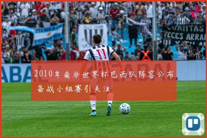 2010年南非世界杯巴西队阵容公布 备战小组赛引关注