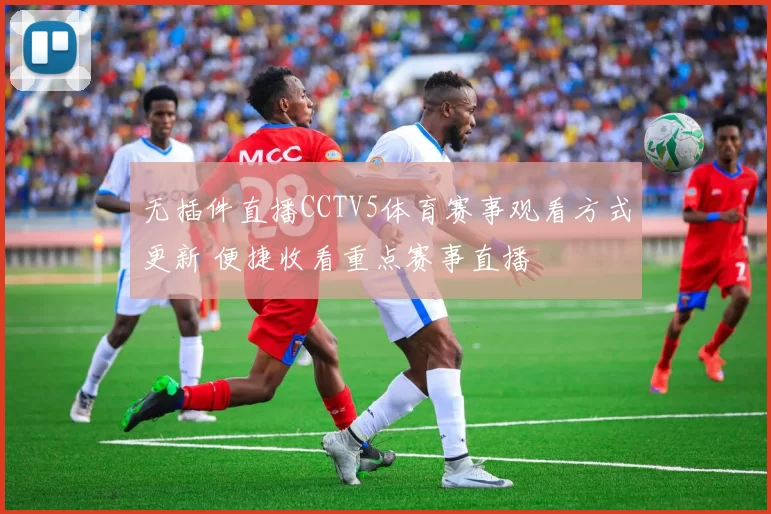 无插件直播CCTV5体育赛事观看方式更新 便捷收看重点赛事直播