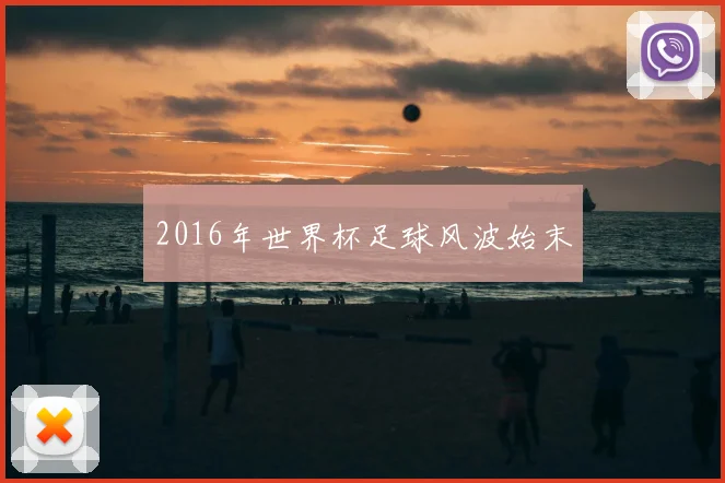 2016年世界杯足球风波始末