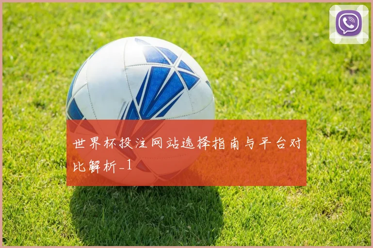 世界杯投注网站选择指南与平台对比解析_1