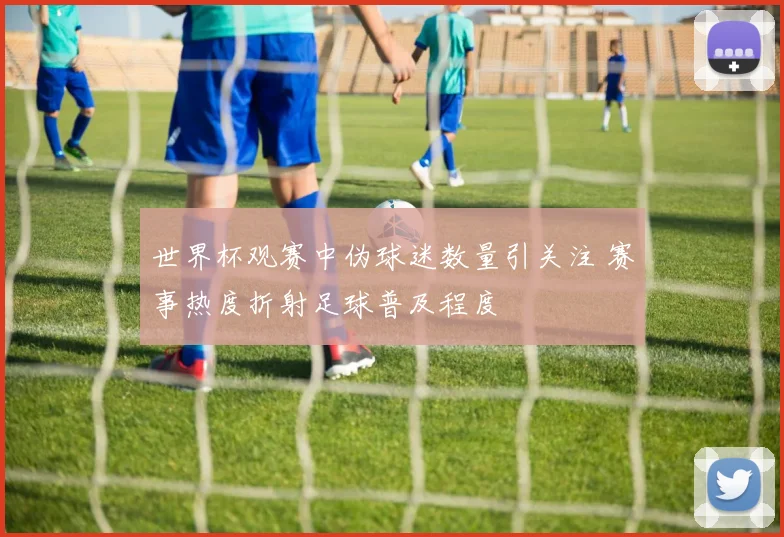 世界杯观赛中伪球迷数量引关注 赛事热度折射足球普及程度
