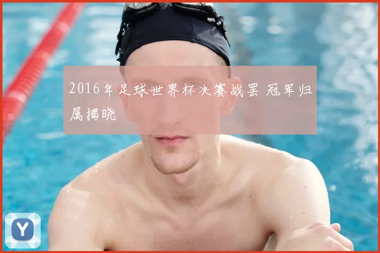 2016年足球世界杯决赛战罢 冠军归属揭晓
