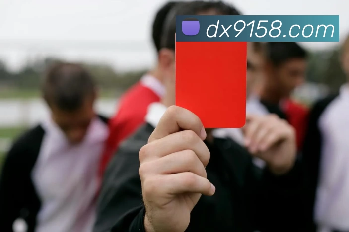 zoty中欧·(中国有限公司)官方网站平台生态图